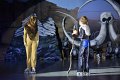 Lionking 0470